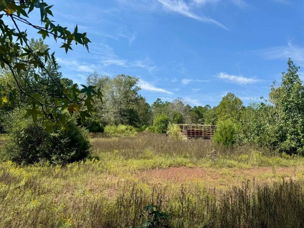 12 acres in Texas County - photo 7