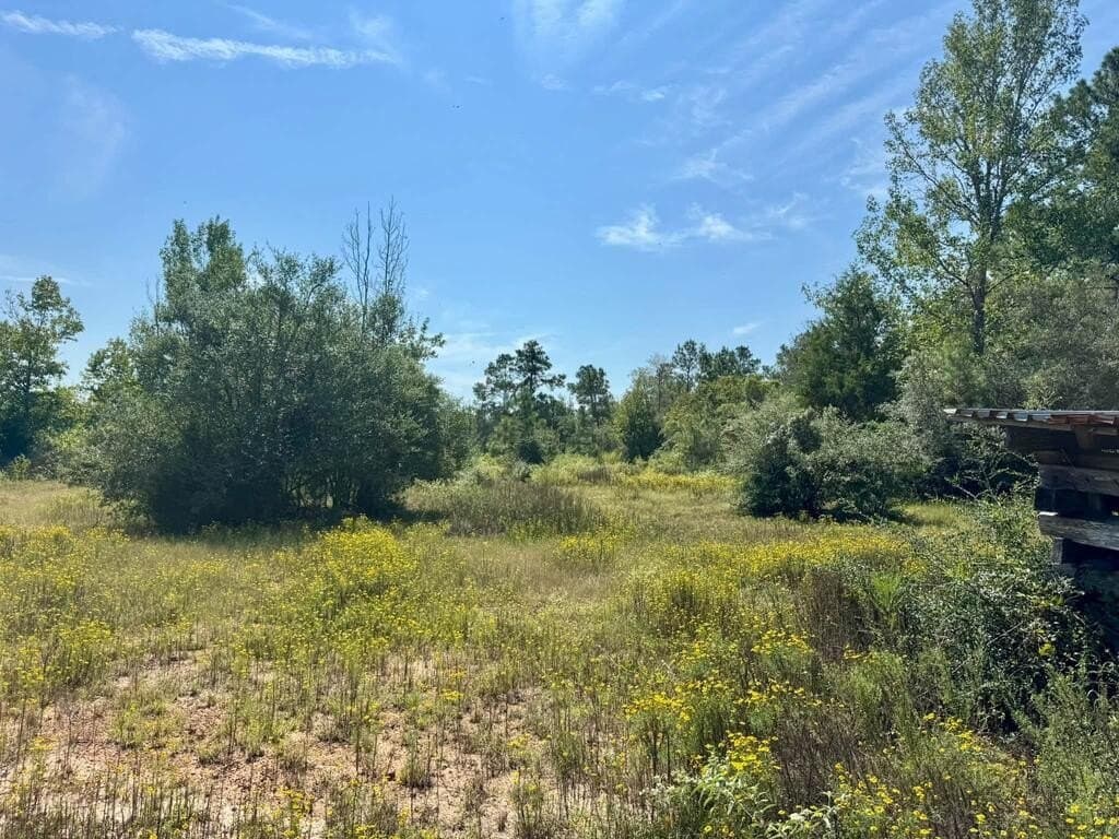 12 acres in Texas County - photo 2