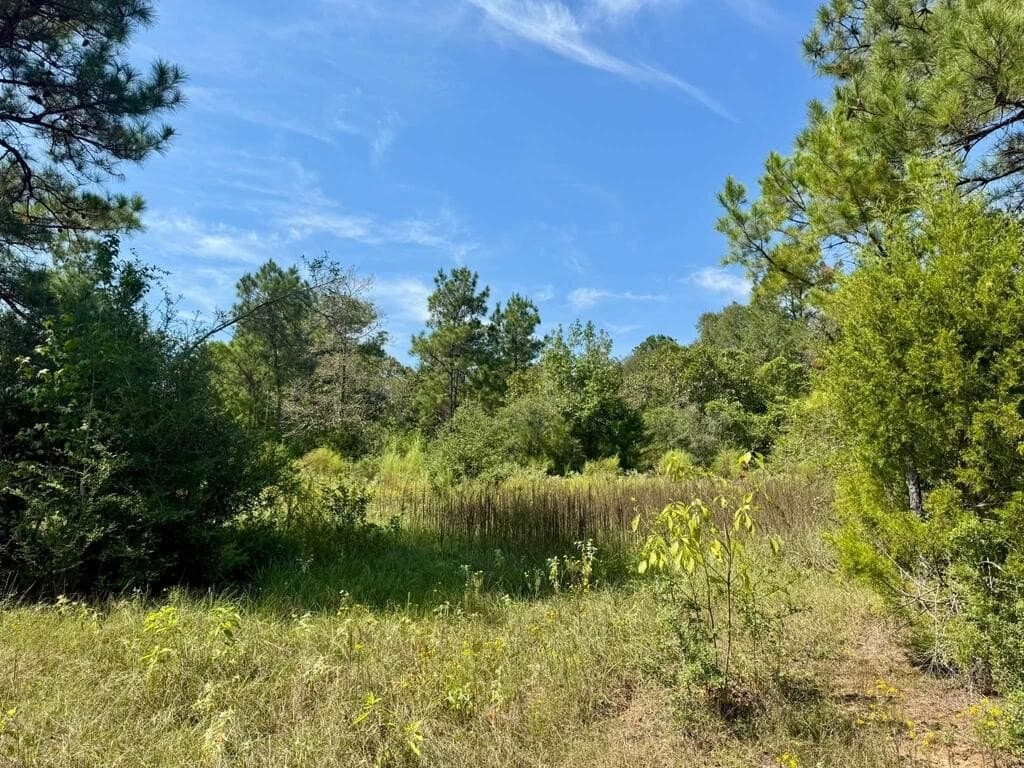 12 acres in Texas County - photo 11