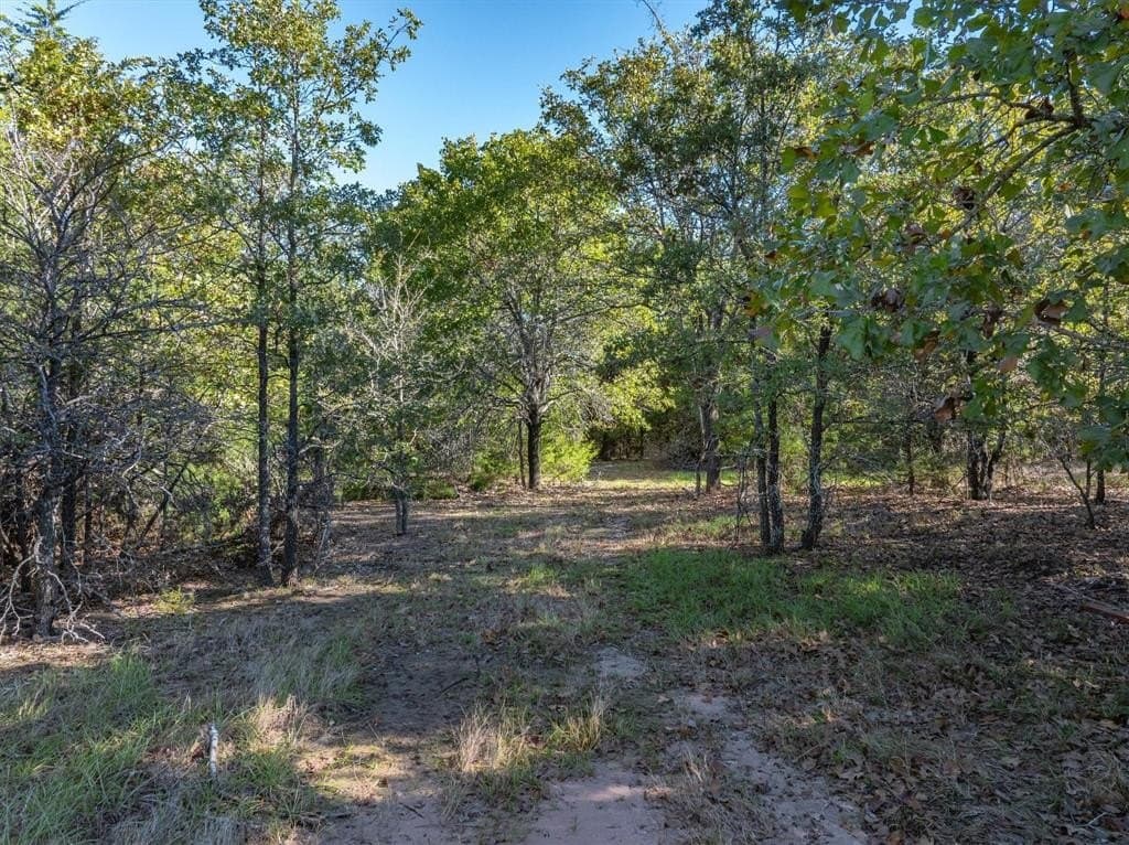 4.94 acres in Hunt County gallery image 2