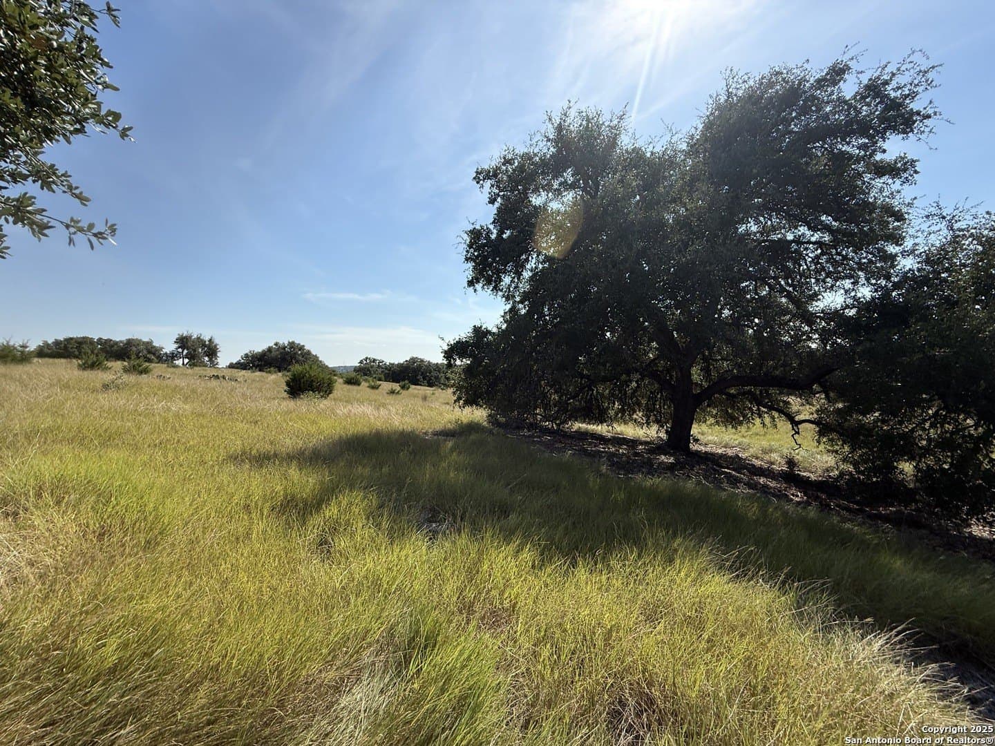 4.02 acres in Gillespie County - photo 9
