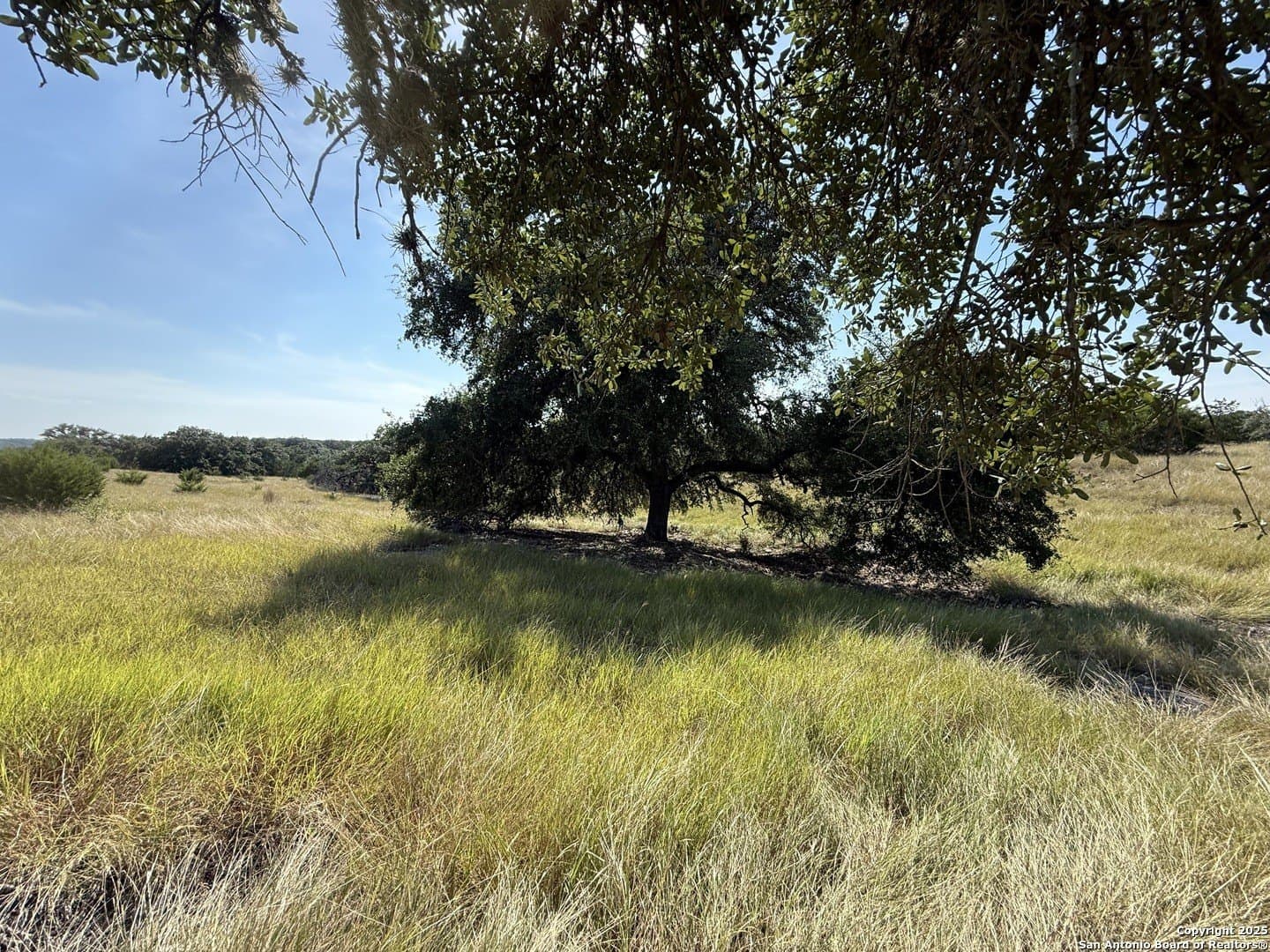 4.02 acres in Gillespie County - photo 8
