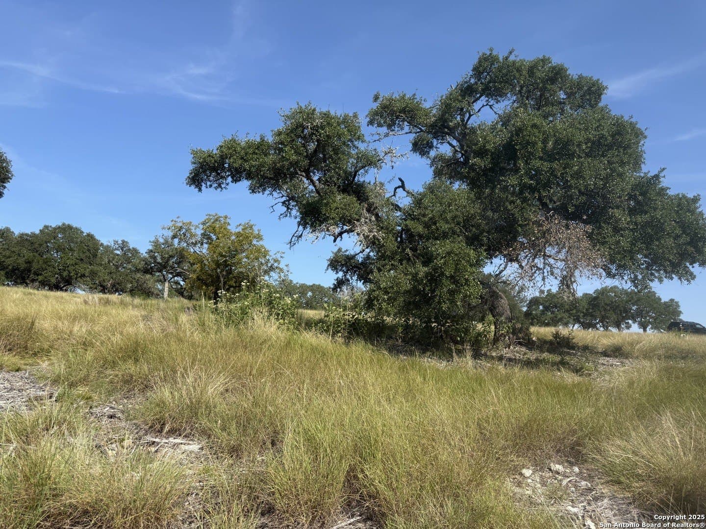 4.02 acres in Gillespie County - photo 11