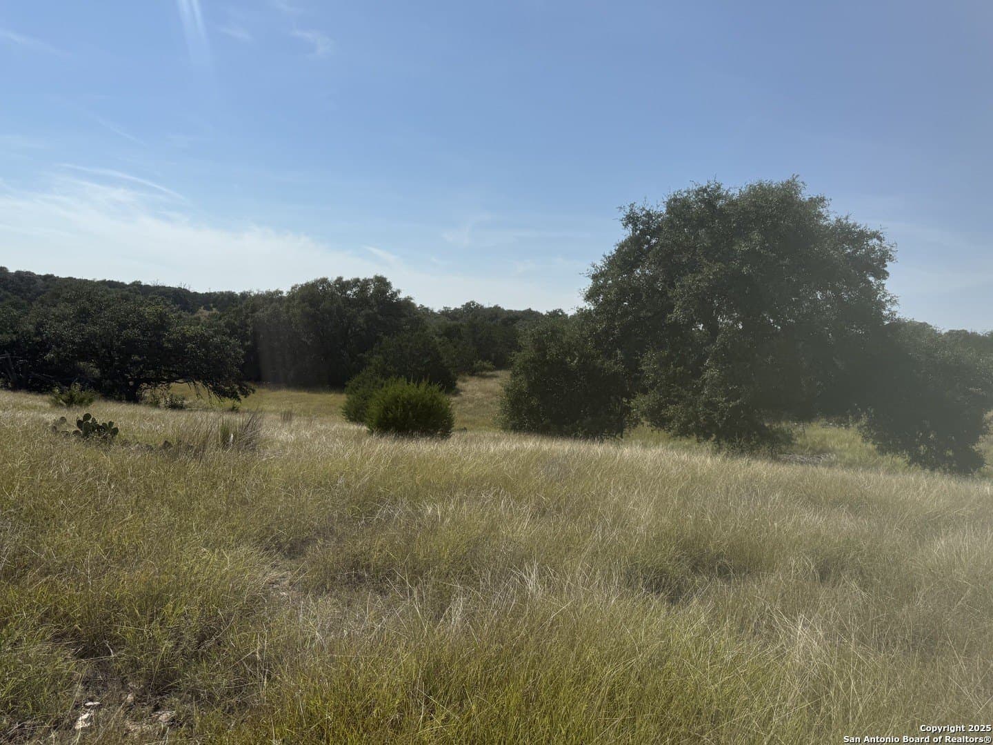 4.02 acres in Gillespie County - photo 7