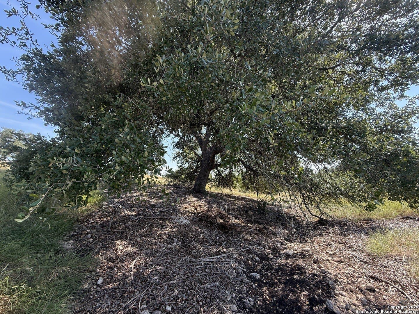 4.02 acres in Gillespie County - photo 14