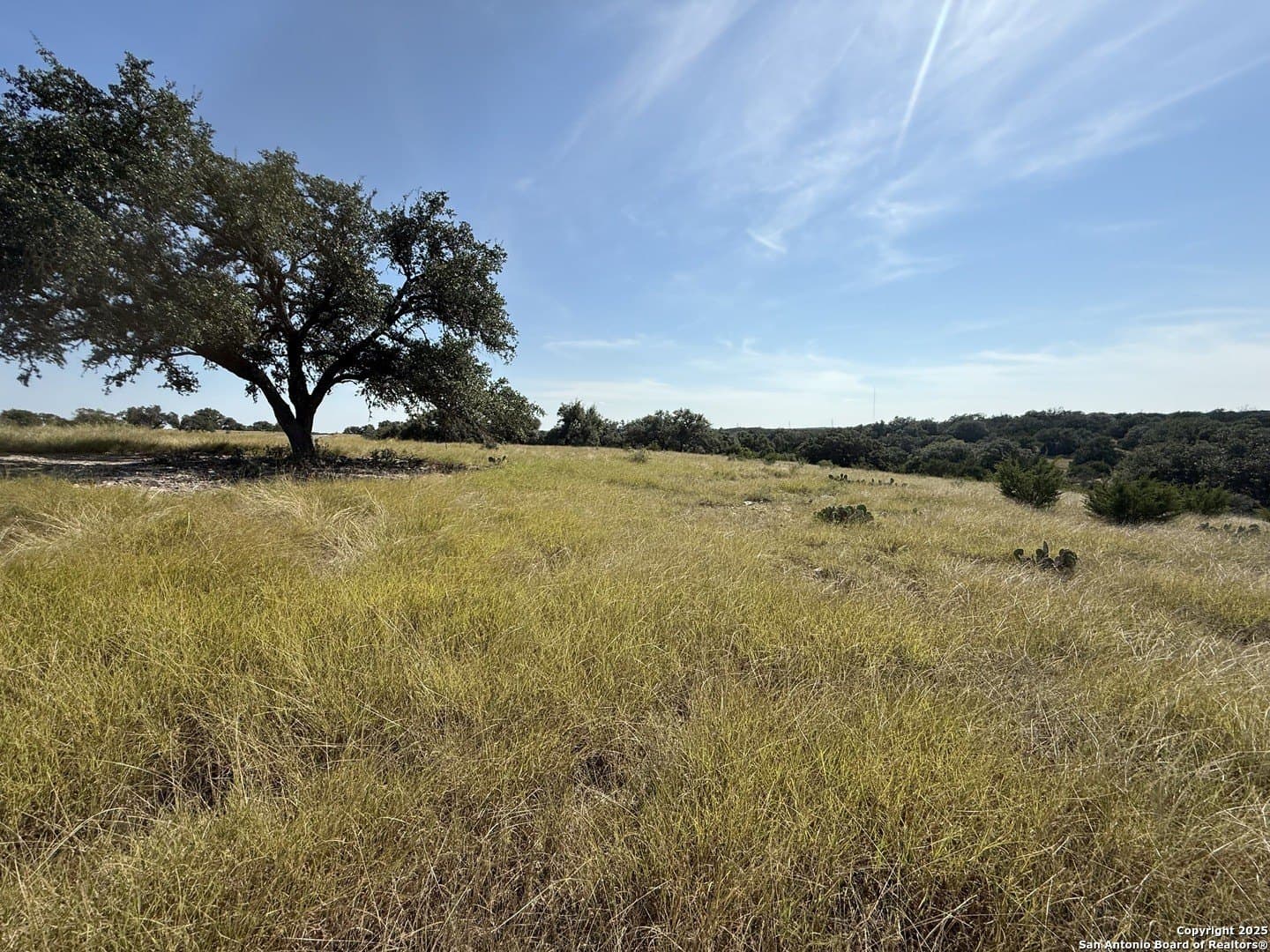 4.02 acres in Gillespie County featured view