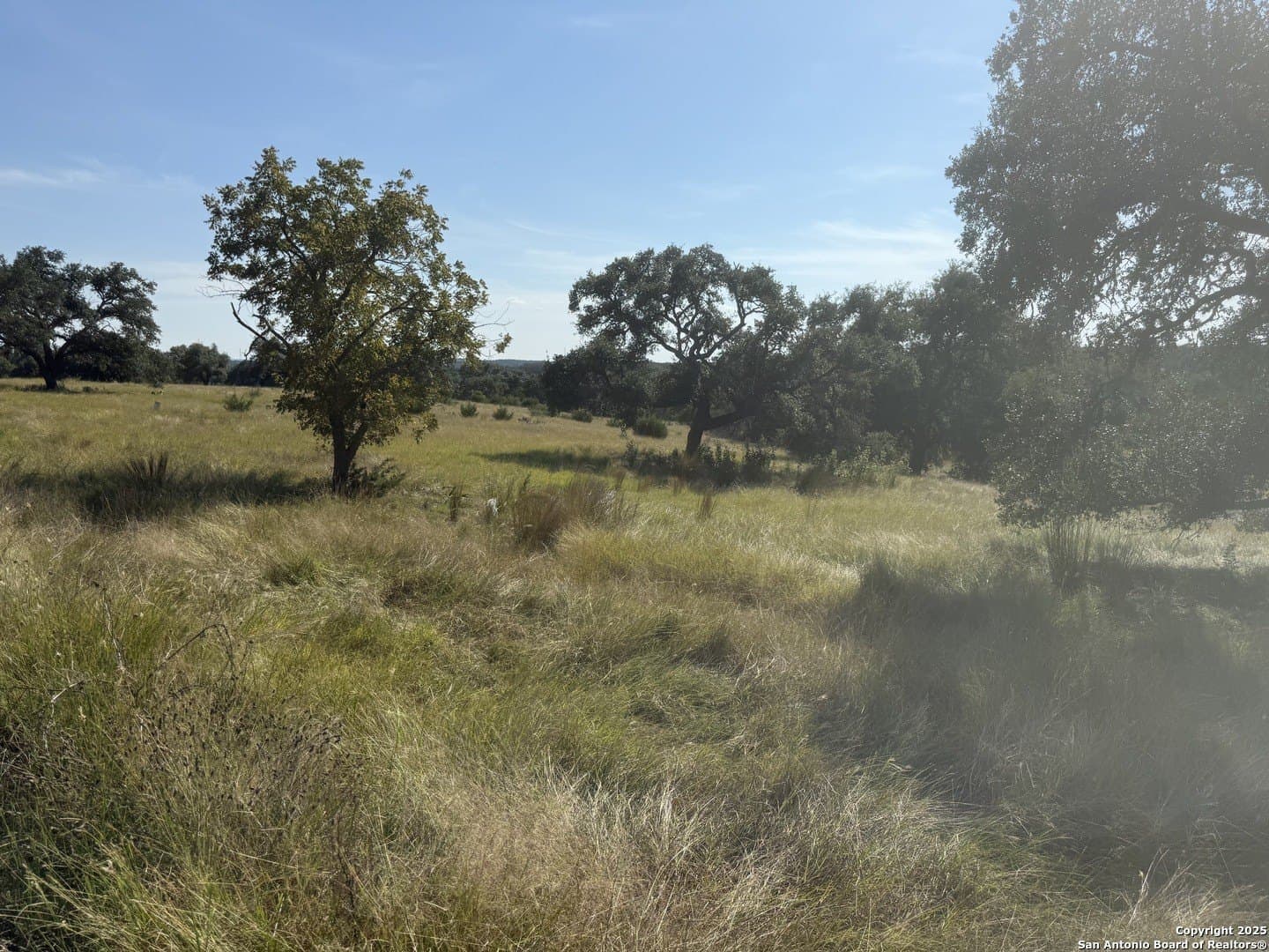 4.02 acres in Gillespie County - photo 17