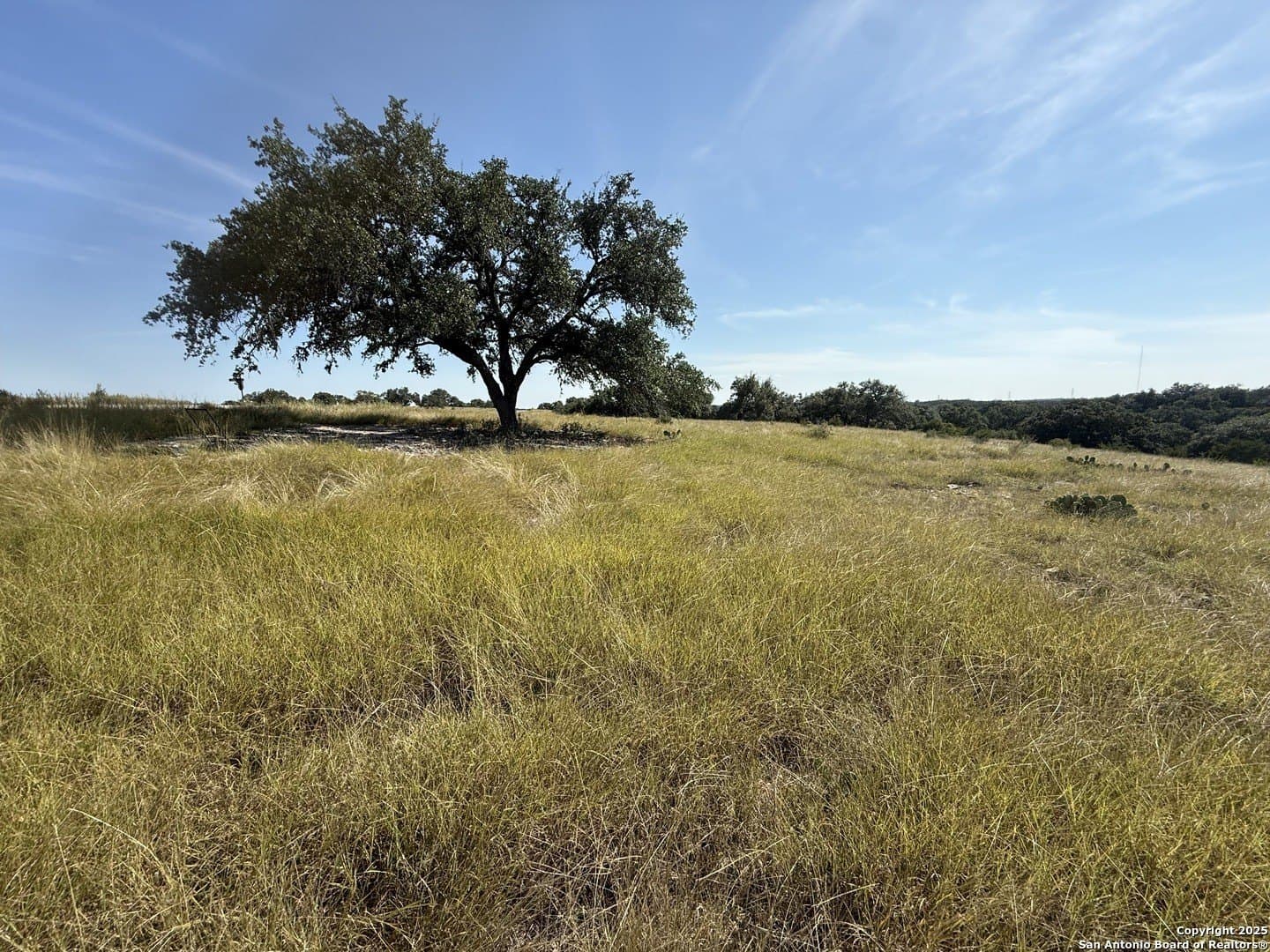 4.02 acres in Gillespie County - photo 6