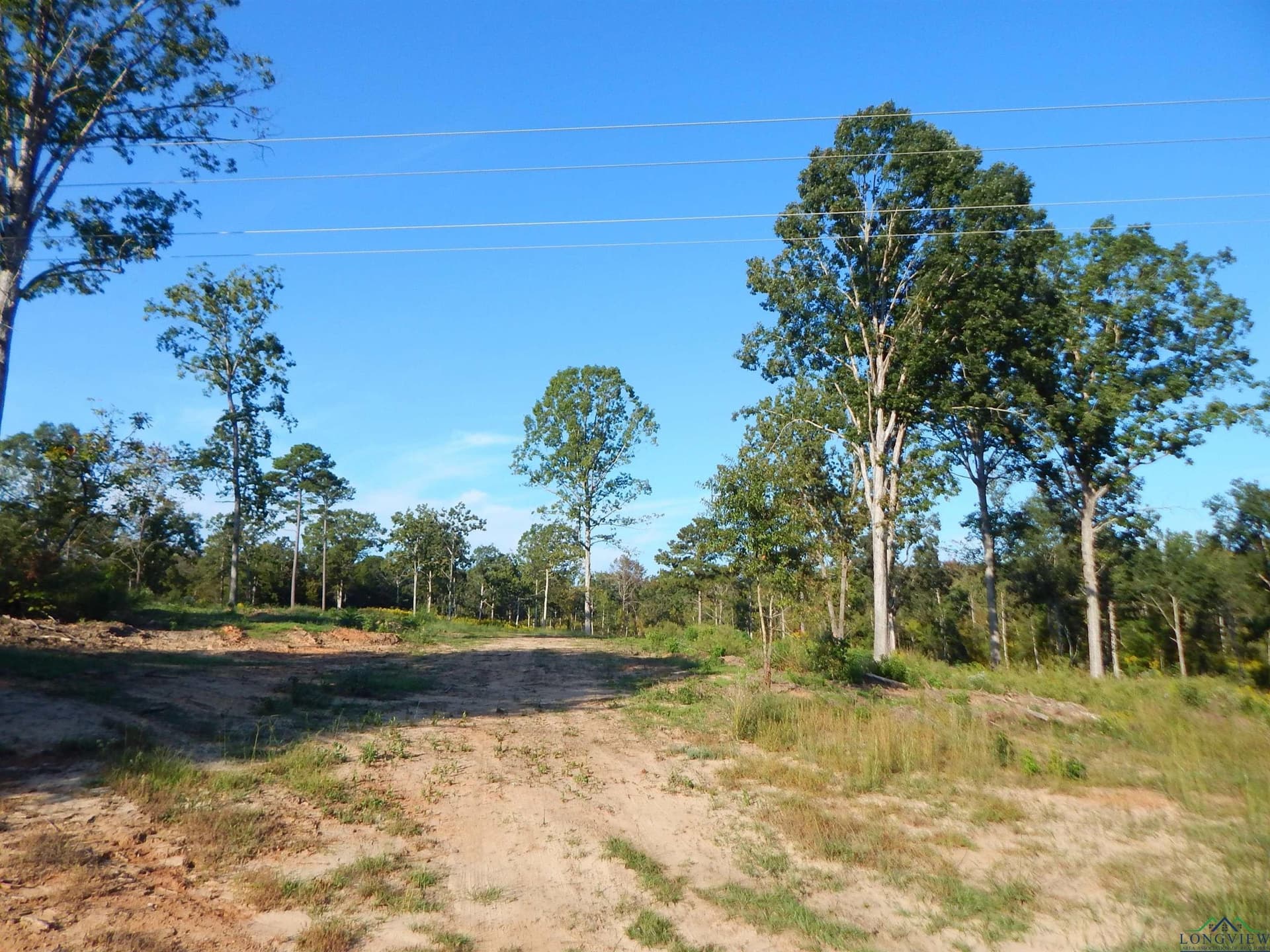 7.57 acres in Upshur County gallery image 3