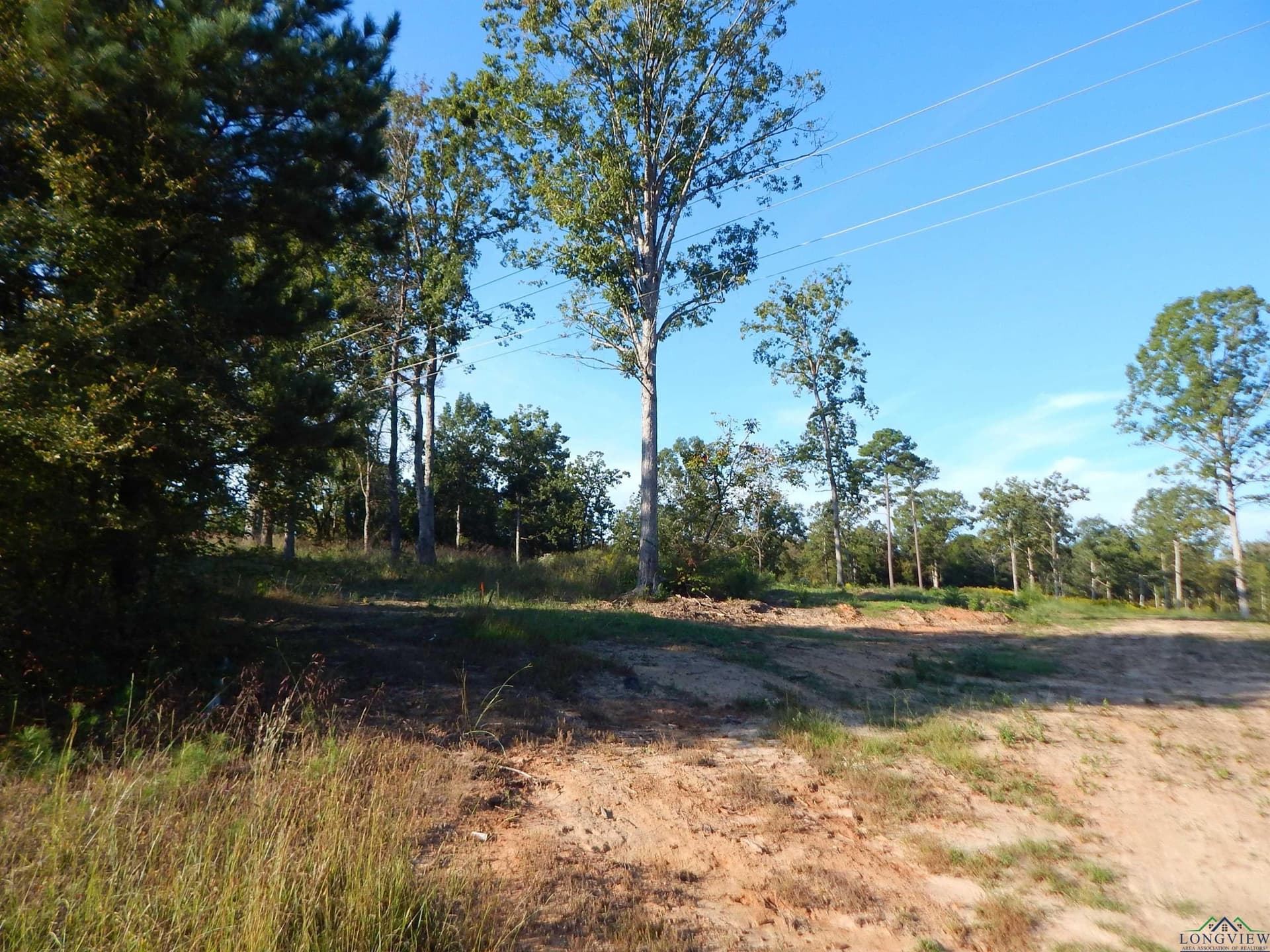 7.57 acres in Upshur County gallery image 2