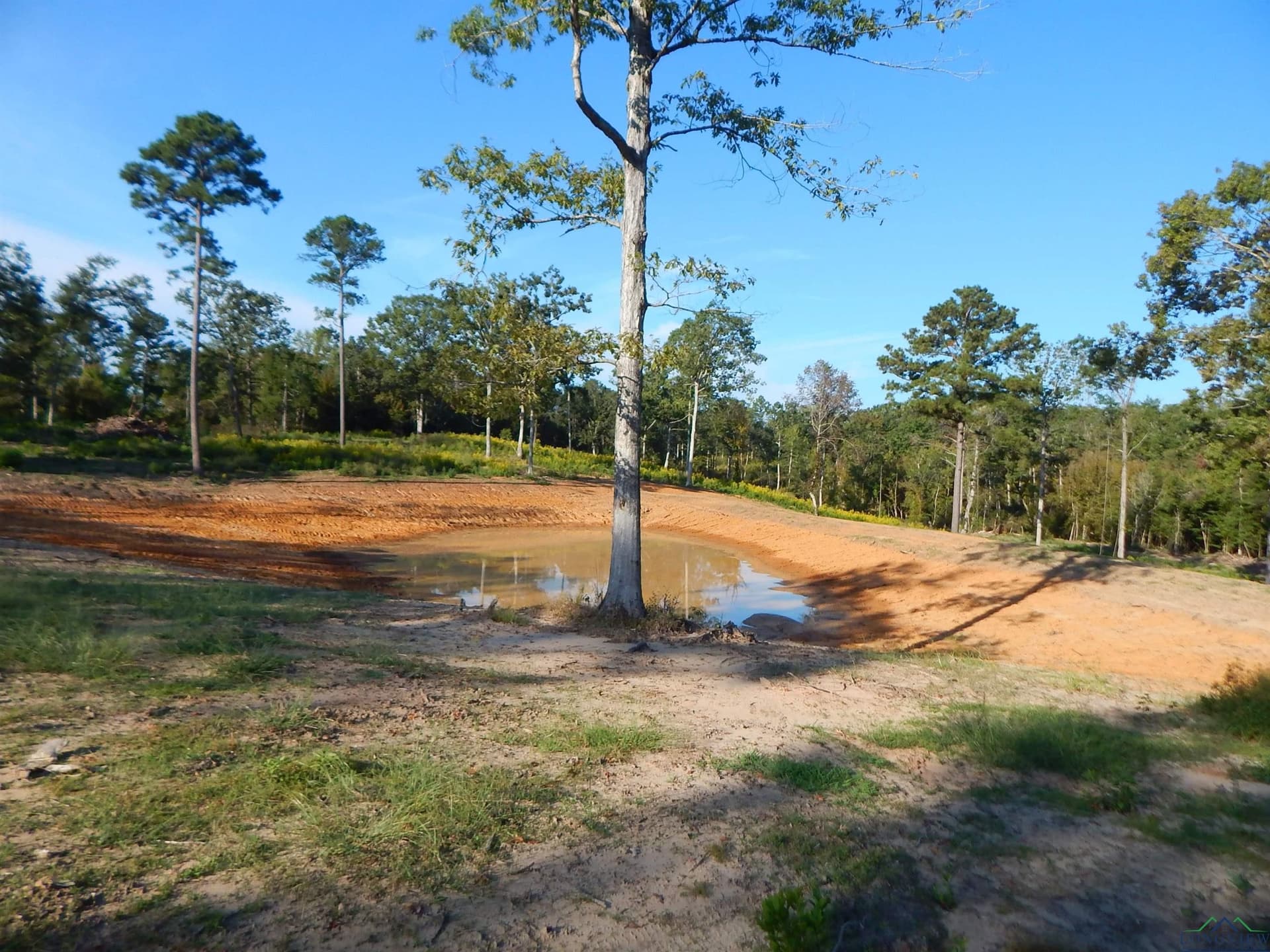 7.57 acres in Upshur County featured view