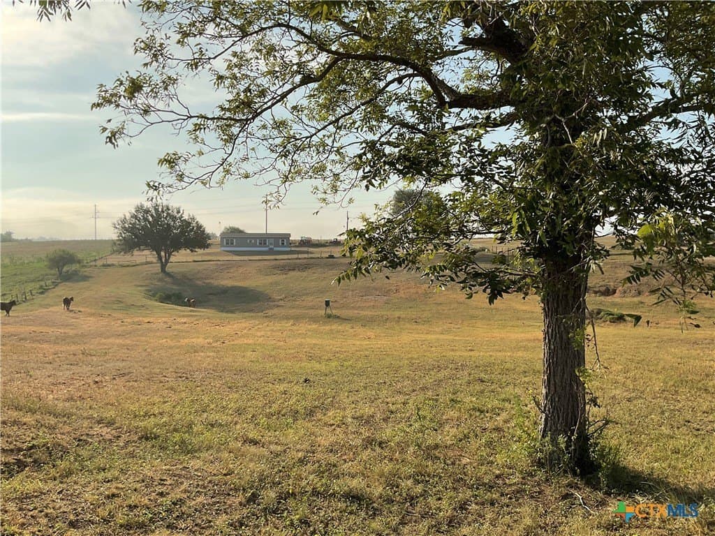 20 acres in DeWitt County - photo 7