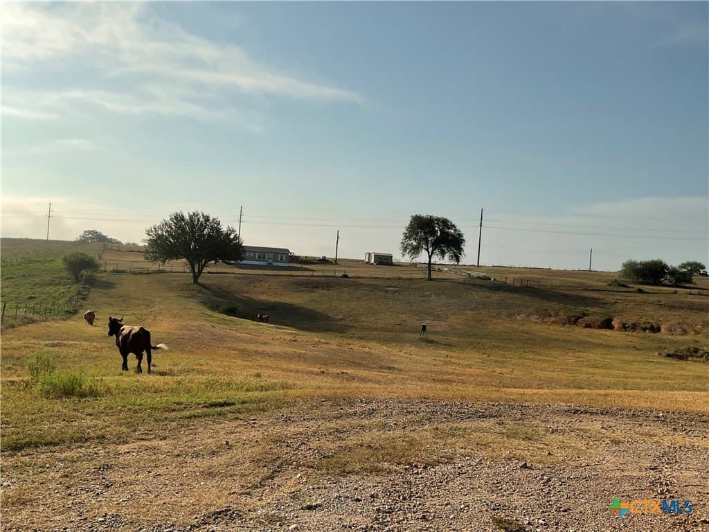 20 acres in DeWitt County - photo 19