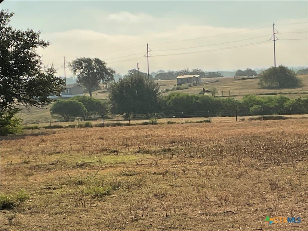 20 acres in DeWitt County - photo 8