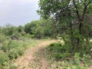 5.01 acres in Jones County - photo 26