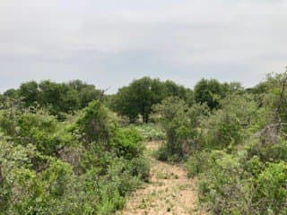 5.01 acres in Jones County - photo 29