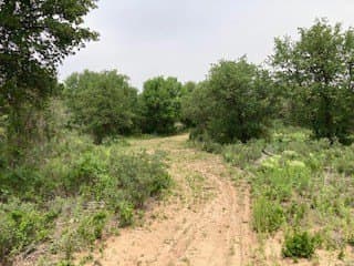 5.01 acres in Jones County - photo 5