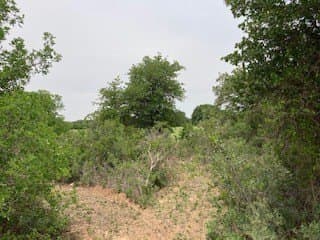 5.01 acres in Jones County - photo 28