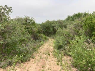 5.01 acres in Jones County - photo 2
