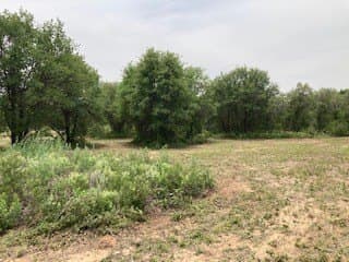 5.01 acres in Jones County - photo 30