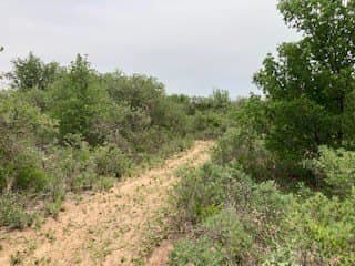 5.01 acres in Jones County - photo 6