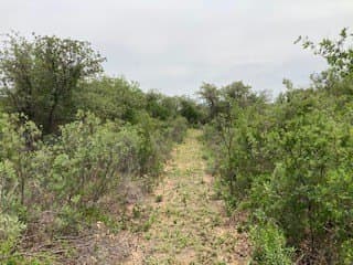 5.01 acres in Jones County - photo 27