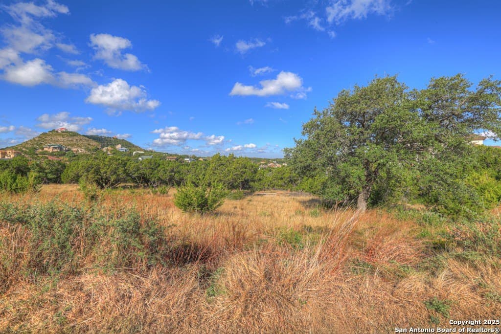 1.35 acres in Comal County gallery image 3