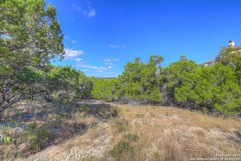 1.35 acres in Comal County - photo 9