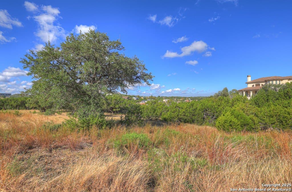 1.35 acres in Comal County gallery image 2