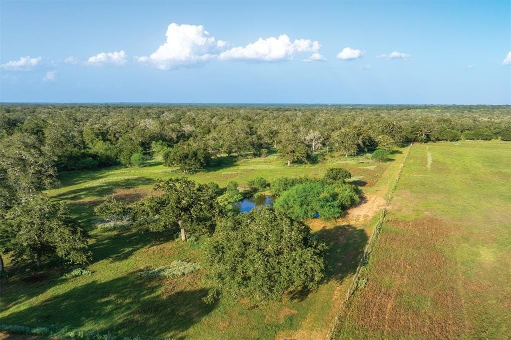 92 acres in Guadalupe County