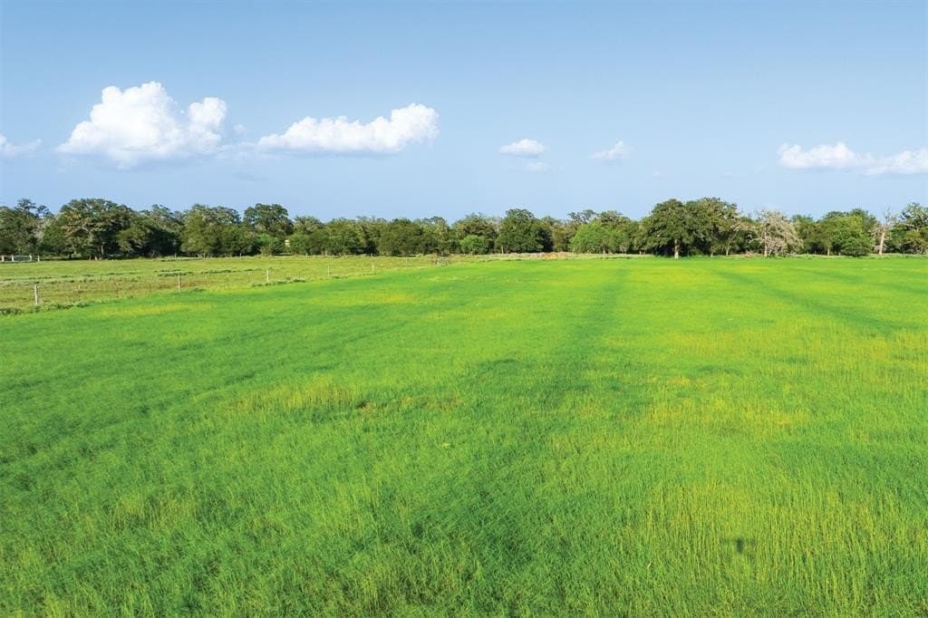 92 acres in Guadalupe County featured view