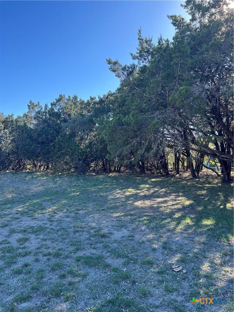 0.33 acres in Comal County gallery image 3