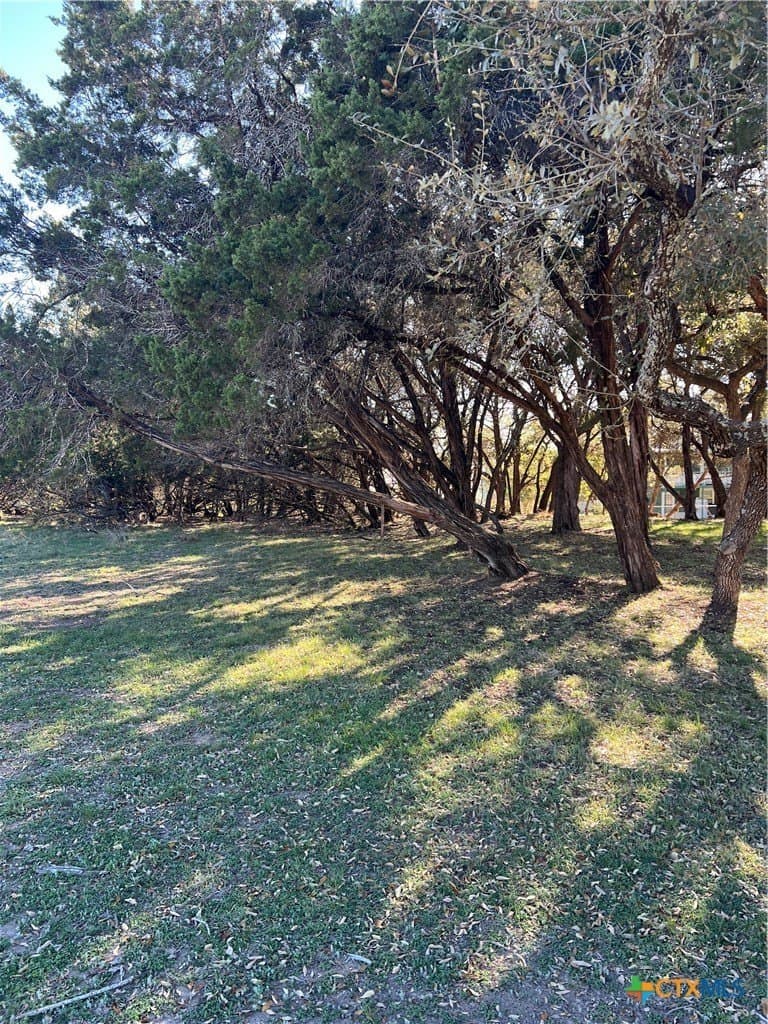 0.33 acres in Comal County gallery image 4
