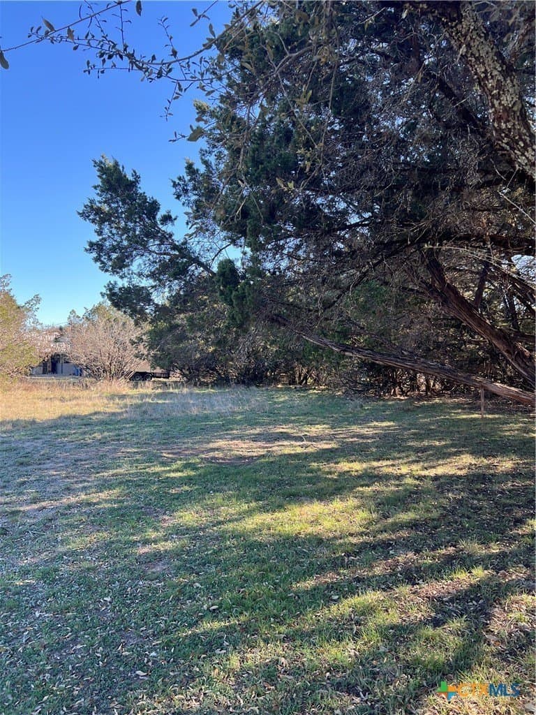 0.33 acres in Comal County gallery image 2