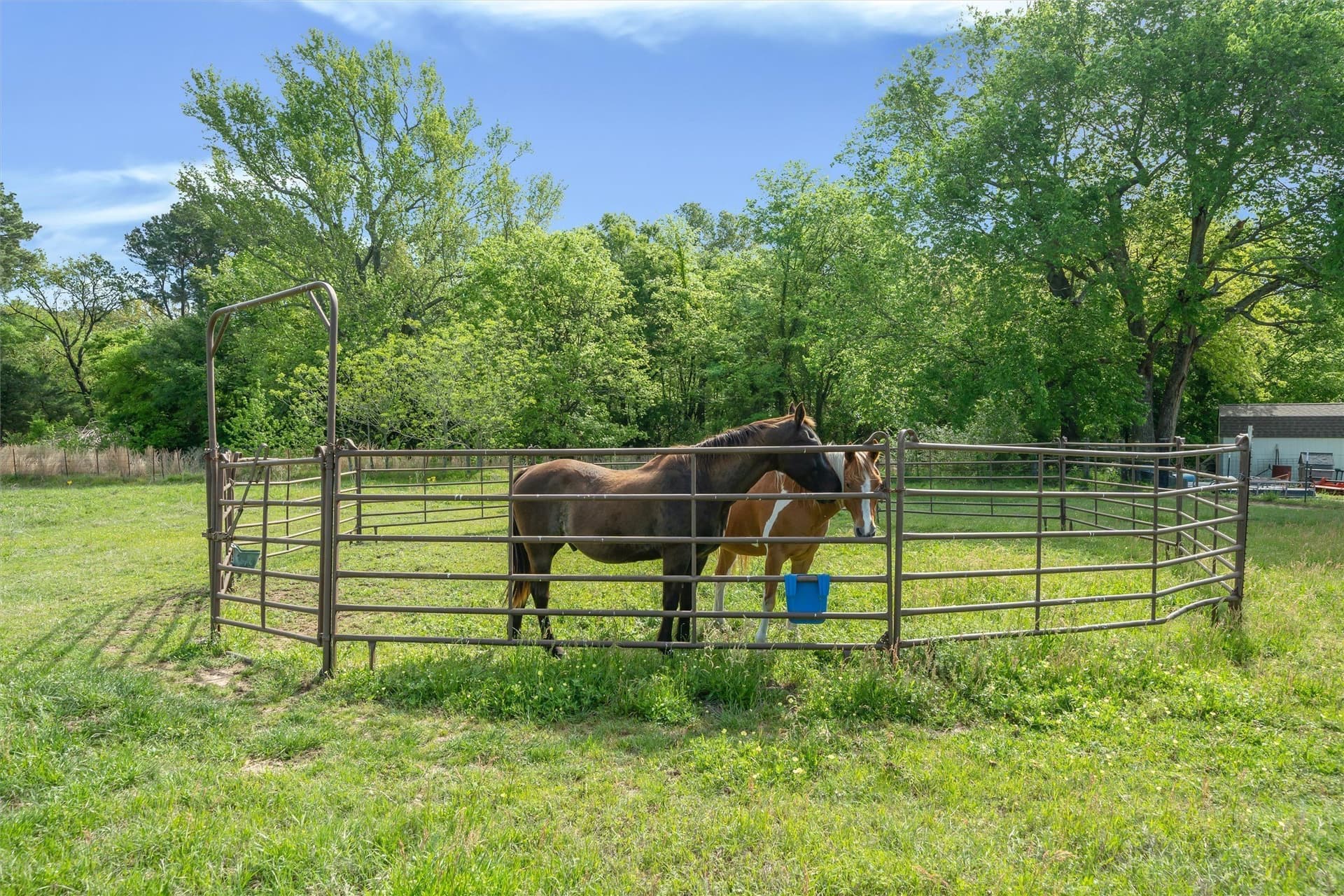 23.5 acres in Wood County - photo 28