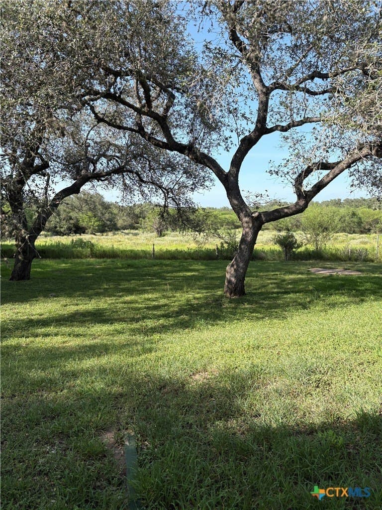 38.25 acres in Goliad County - photo 10