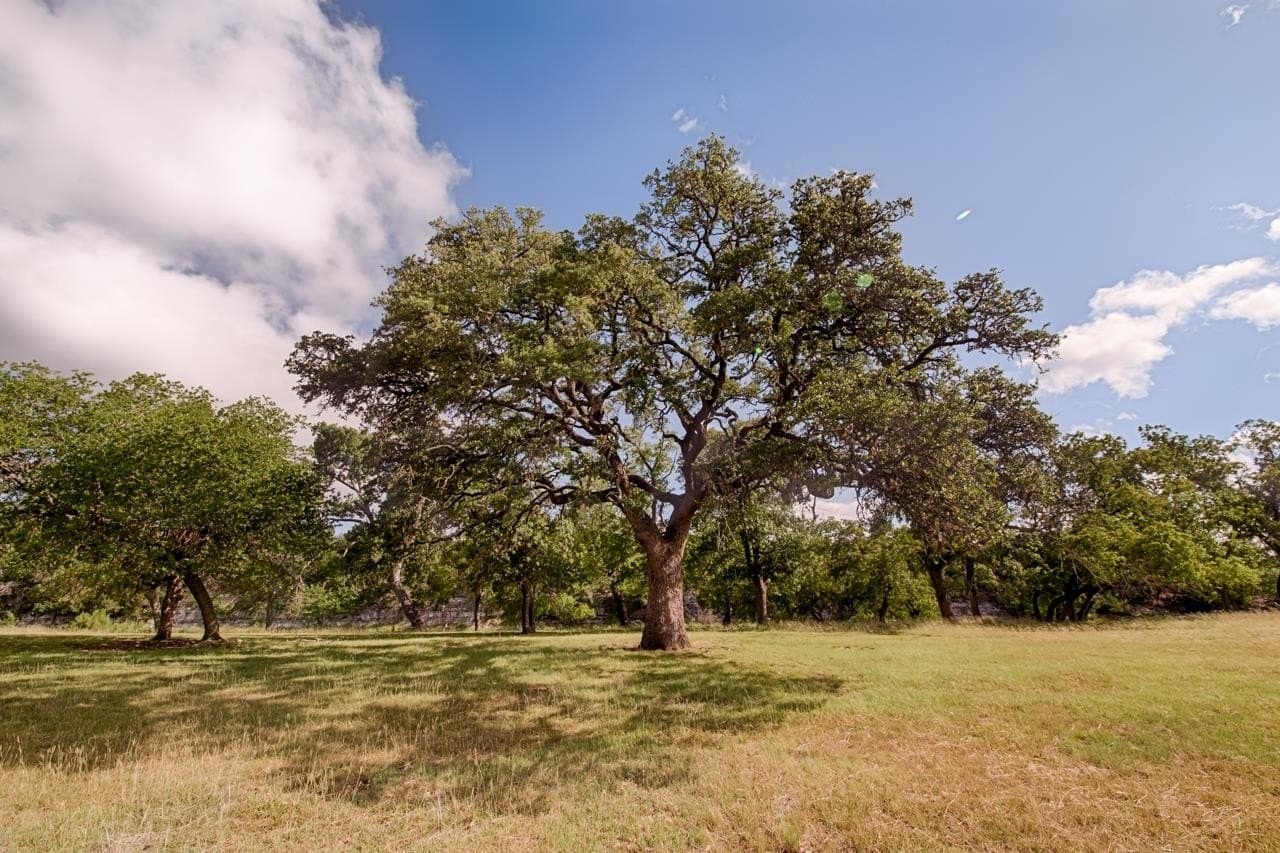 8.33 acres in Gillespie County - photo 16