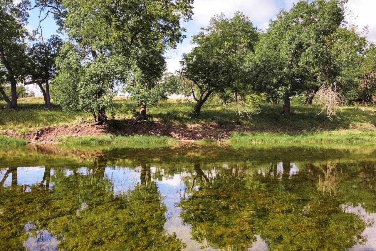 8.33 acres in Gillespie County - photo 25