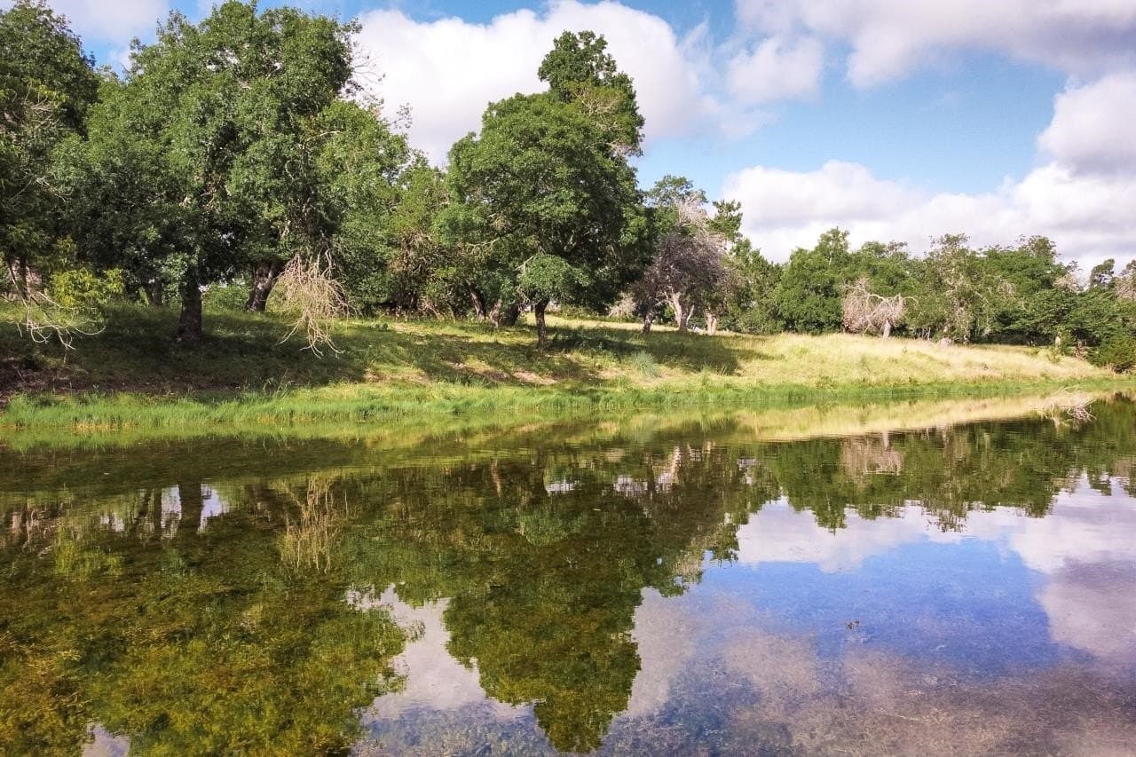 8.33 acres in Gillespie County - photo 26