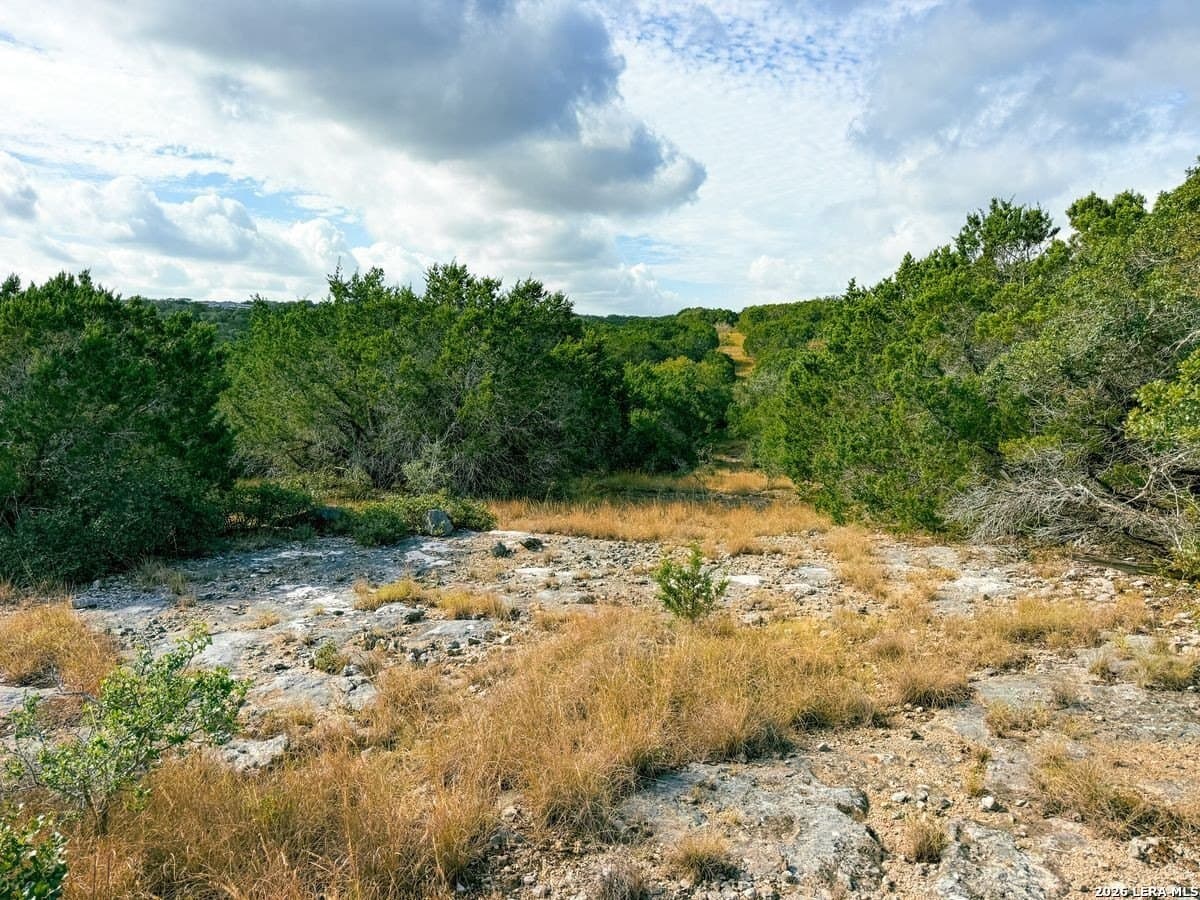 21.51 acres in Kendall County - photo 9