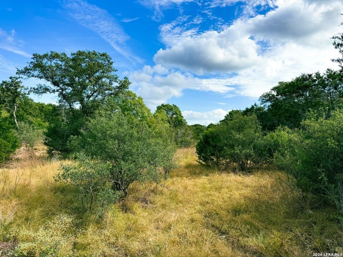 21.51 acres in Kendall County - photo 12