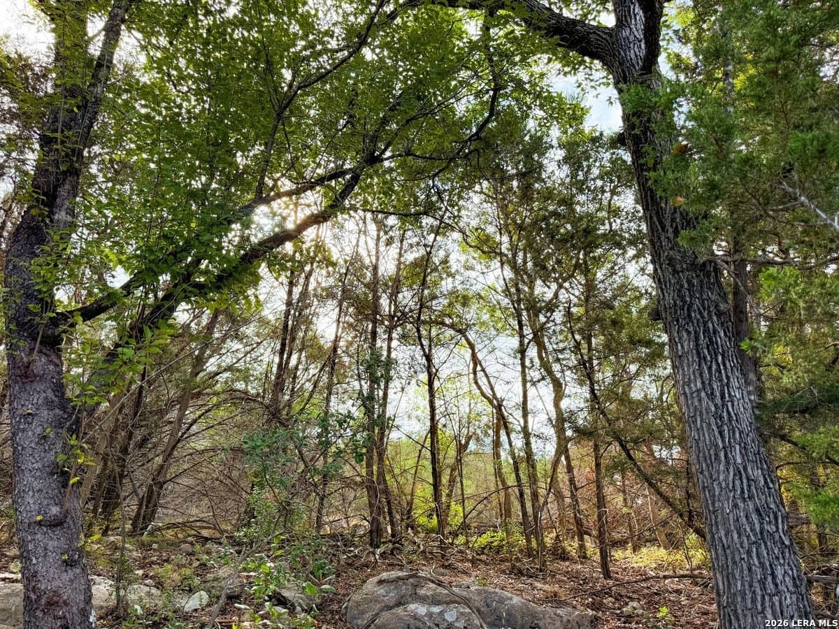21.51 acres in Kendall County - photo 6