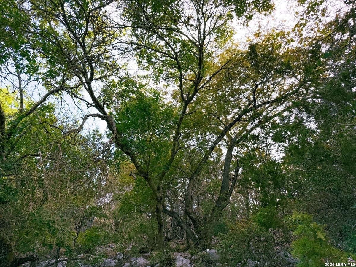21.51 acres in Kendall County - photo 5