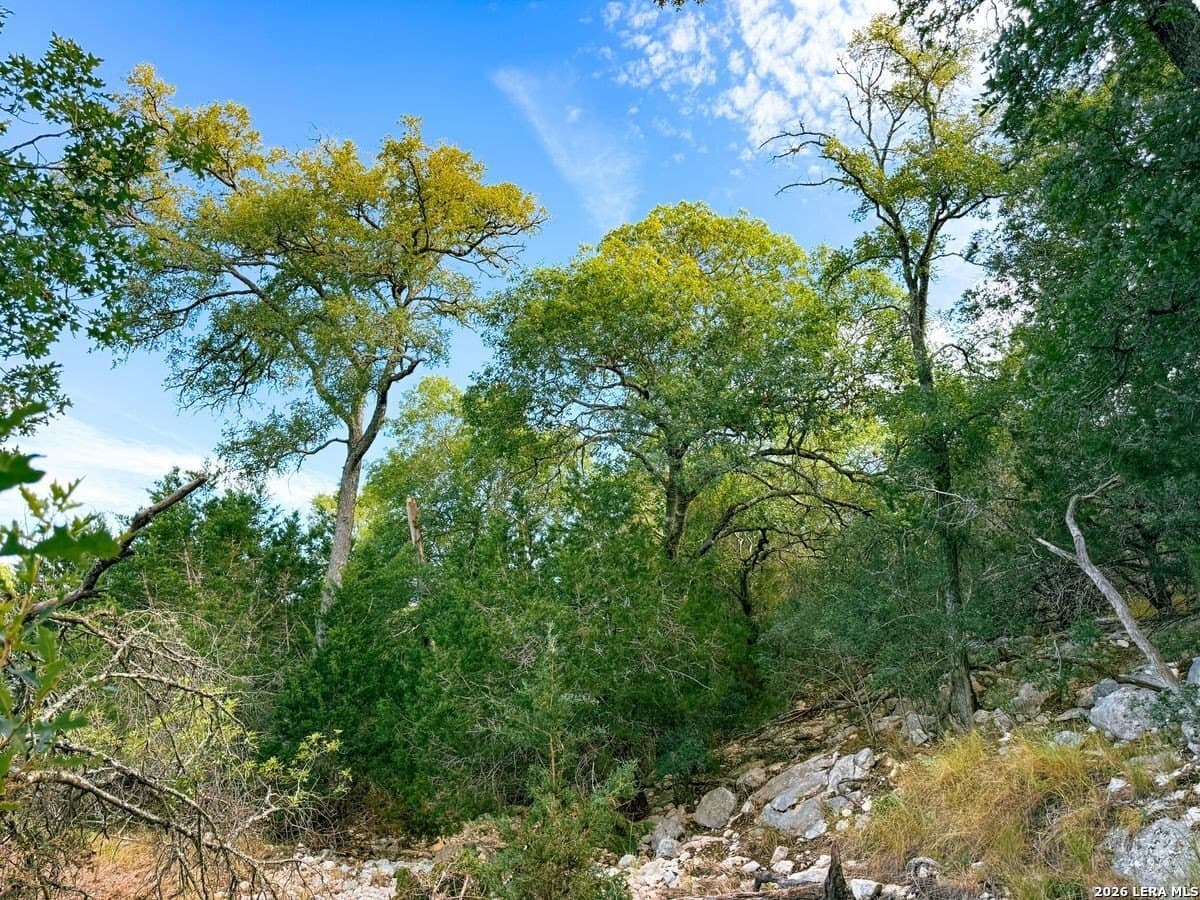 21.51 acres in Kendall County - photo 11