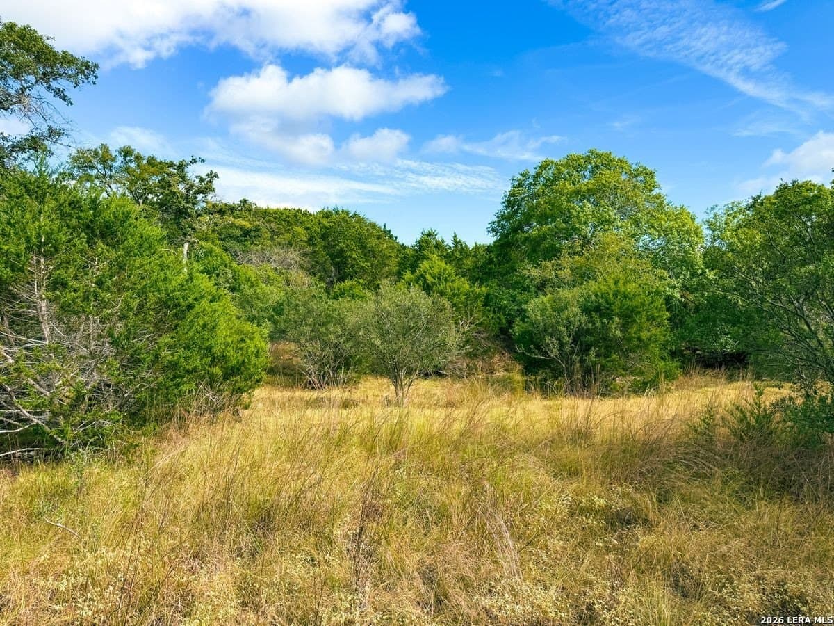 21.51 acres in Kendall County - photo 13