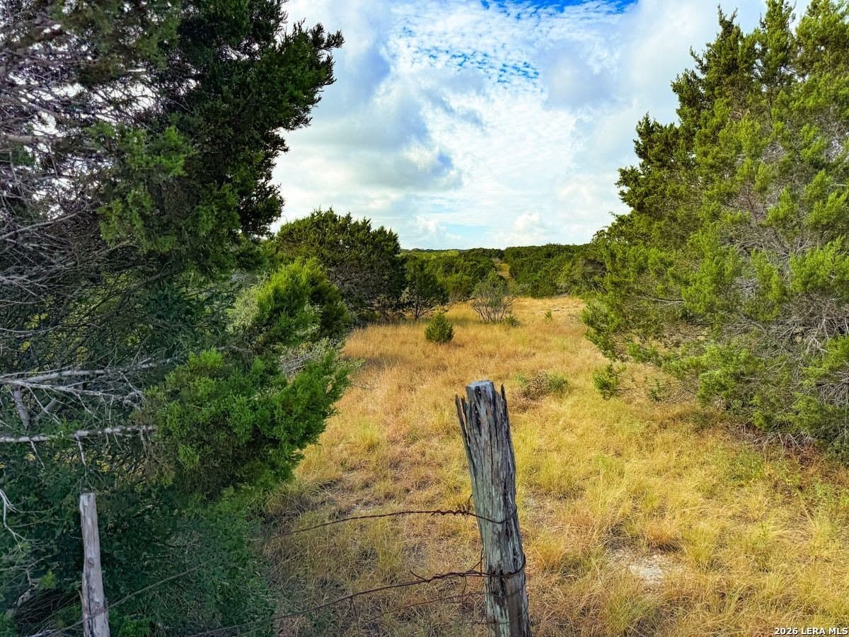 21.51 acres in Kendall County - photo 7