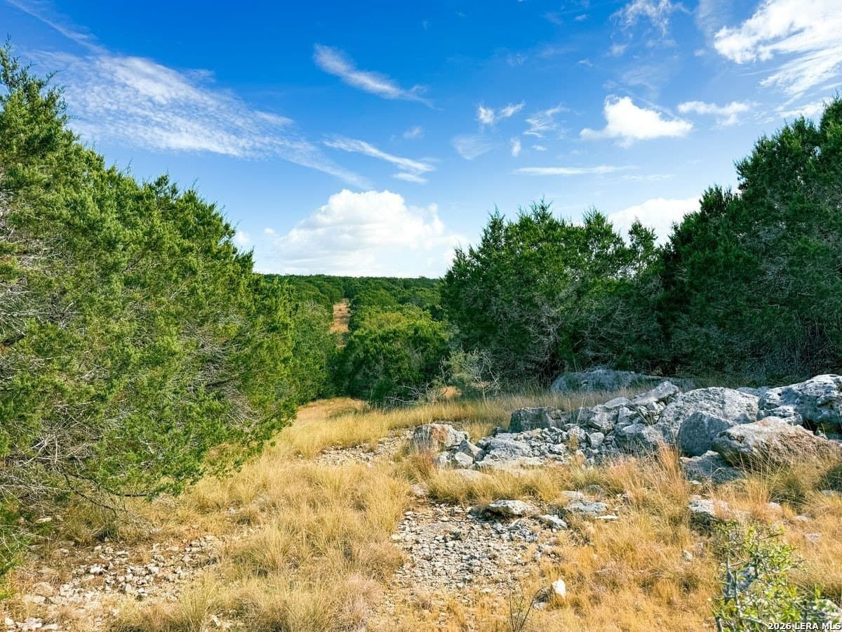 21.51 acres in Kendall County - photo 10
