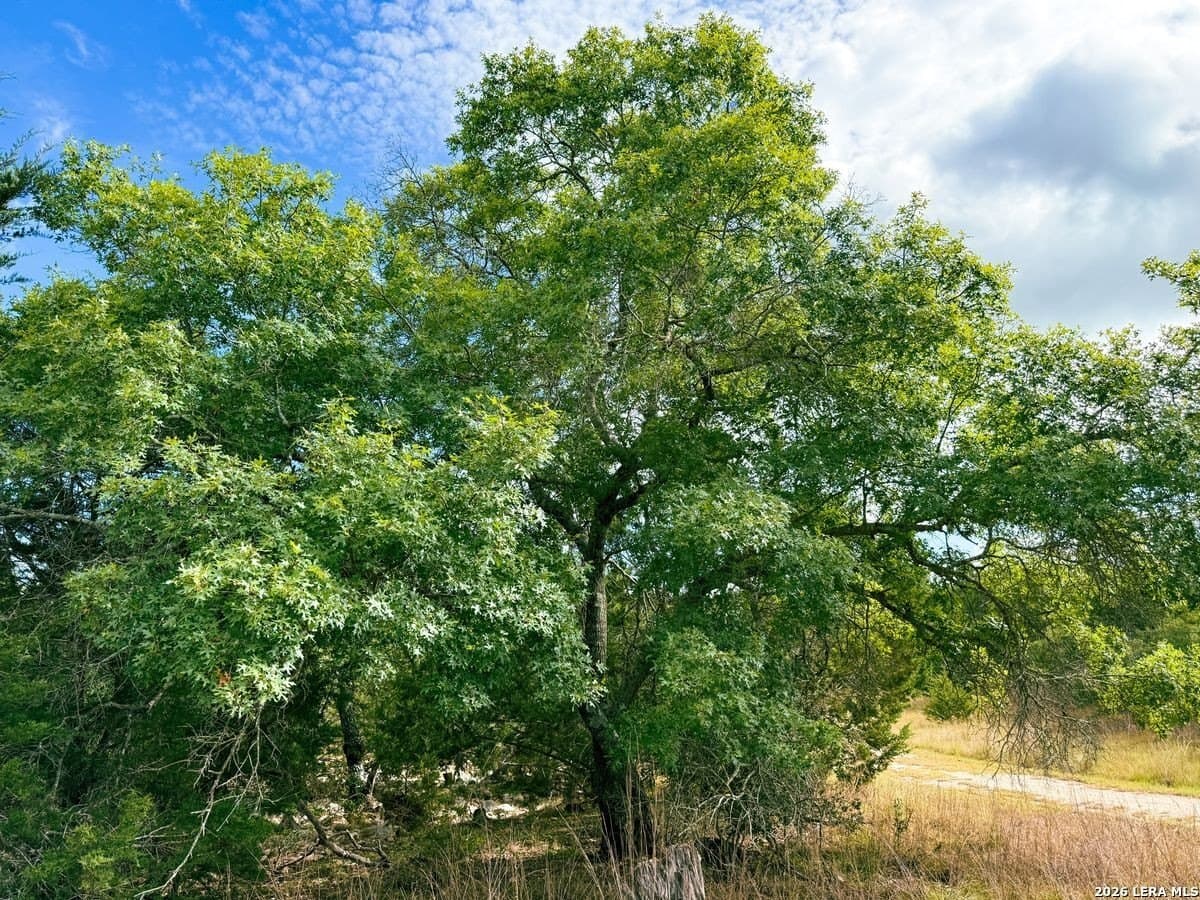 21.51 acres in Kendall County - photo 14