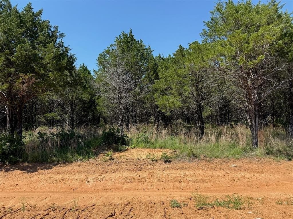 0.17 acres in Grayson County gallery image 4