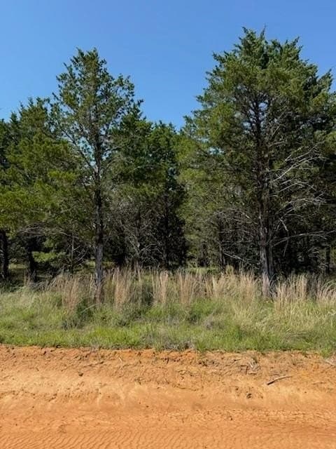 0.17 acres in Grayson County featured view
